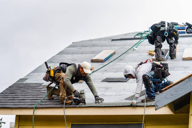 Professional Gutter Installation technician working in La Plata, MO